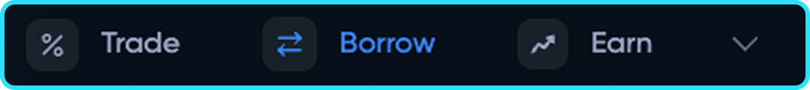Rain.fi menu, borrow button.png
